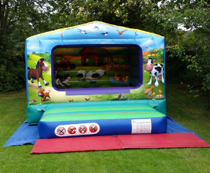 Childrens Bouncy Castle