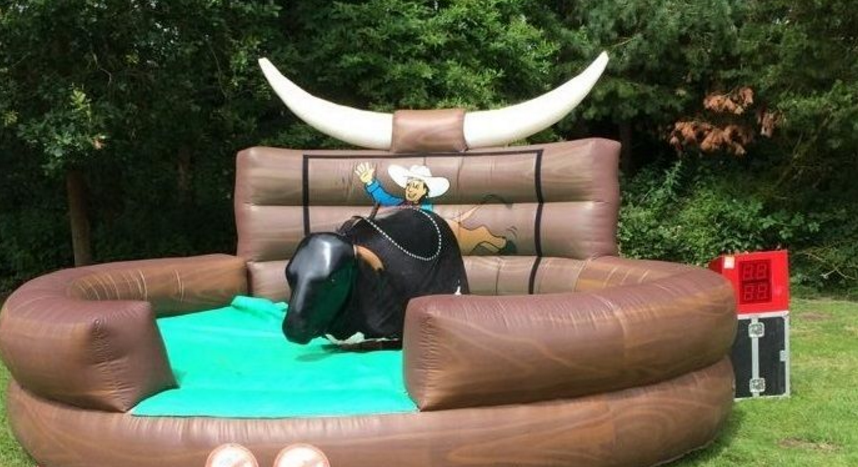 Interactive Rodeo Bulls / Bucking Bronco